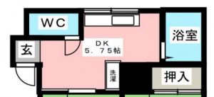 脱衣場がない間取り